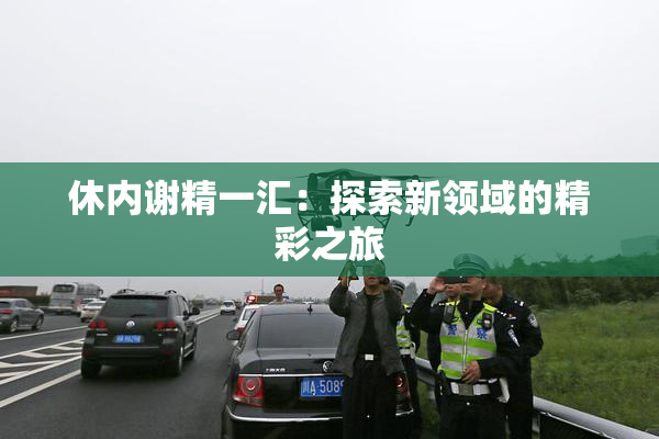 休内谢精一汇：探索新领域的精彩之旅