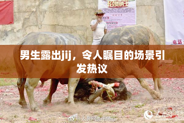 男生露出jij，令人瞩目的场景引发热议