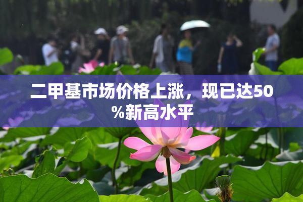 二甲基市场价格上涨，现已达50%新高水平