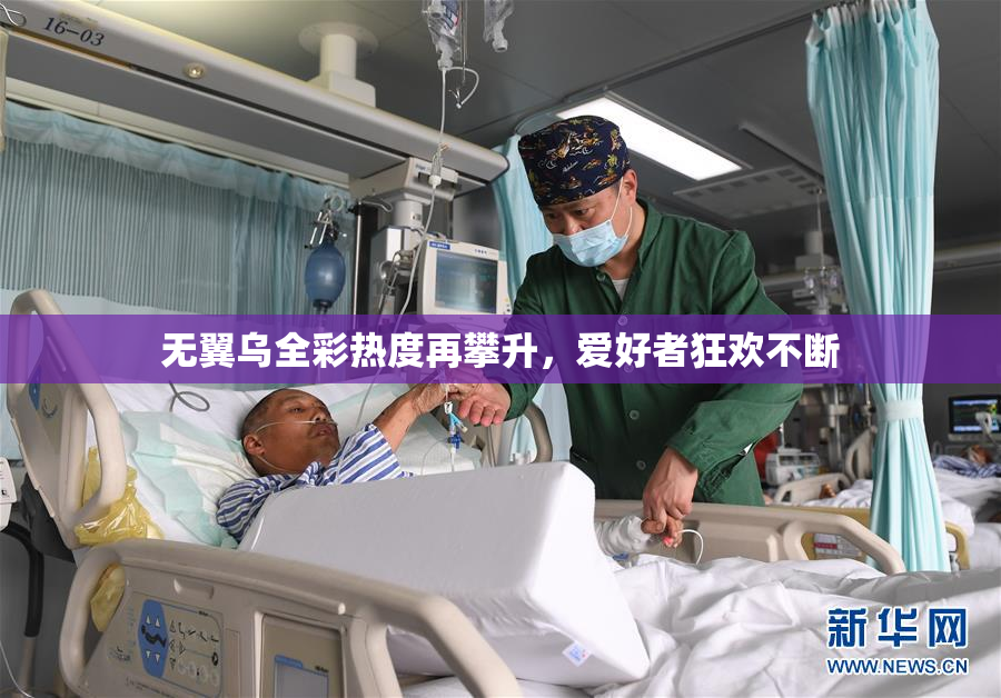 无翼乌全彩热度再攀升，爱好者狂欢不断