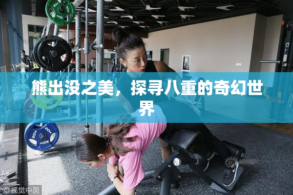熊出没之美，探寻八重的奇幻世界