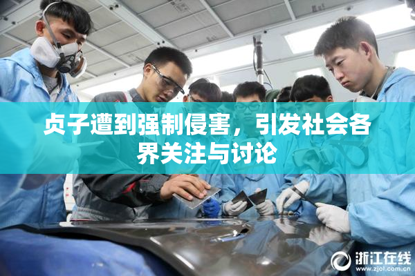 贞子遭到强制侵害，引发社会各界关注与讨论
