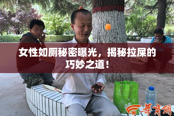 女性如厕秘密曝光，揭秘拉屎的巧妙之道！