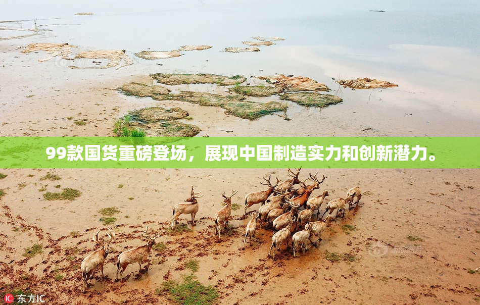 99款国货重磅登场，展现中国制造实力和创新潜力。