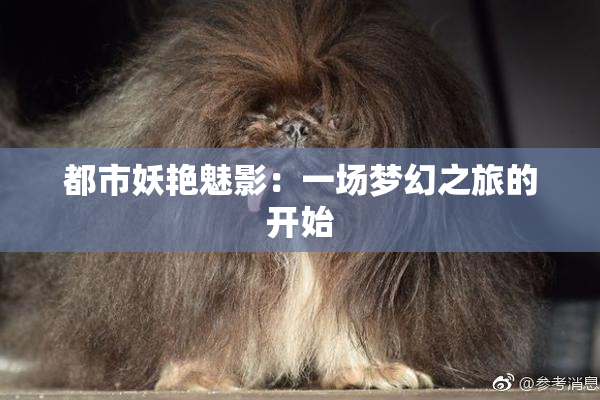 都市妖艳魅影：一场梦幻之旅的开始