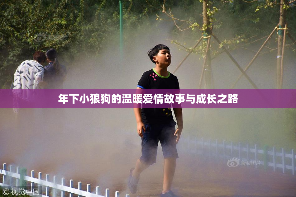 年下小狼狗的温暖爱情故事与成长之路