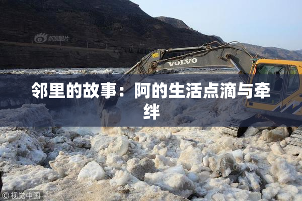 邻里的故事：阿的生活点滴与牵绊