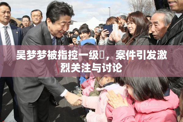 吴梦梦被指控一级婬，案件引发激烈关注与讨论