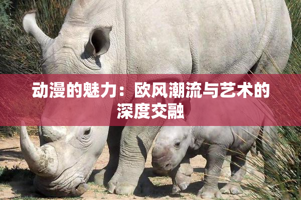 动漫的魅力：欧风潮流与艺术的深度交融