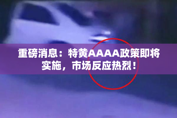 重磅消息：特黄AAAA政策即将实施，市场反应热烈！