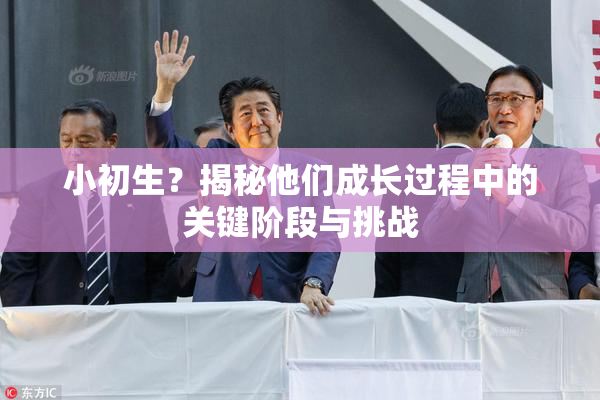 小初生？揭秘他们成长过程中的关键阶段与挑战