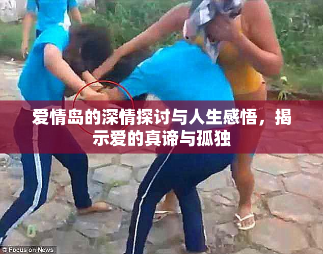 爱情岛的深情探讨与人生感悟，揭示爱的真谛与孤独