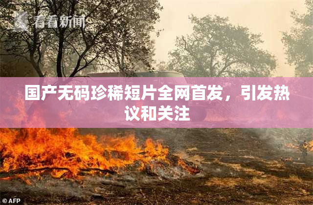国产无码珍稀短片全网首发，引发热议和关注