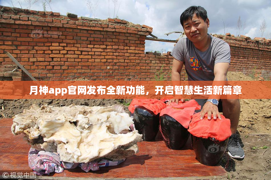 月神app官网发布全新功能，开启智慧生活新篇章