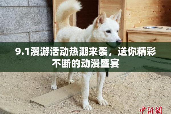 9.1漫游活动热潮来袭，送你精彩不断的动漫盛宴