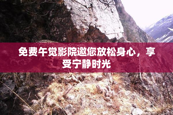 免费午觉影院邀您放松身心，享受宁静时光