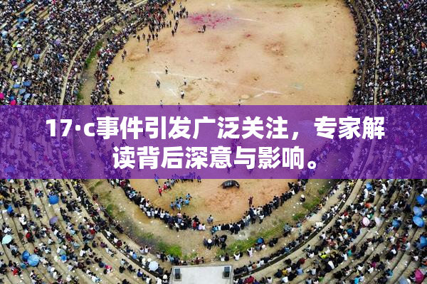 17·c事件引发广泛关注，专家解读背后深意与影响。
