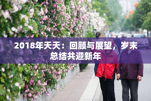 2018年天天：回顾与展望，岁末总结共迎新年