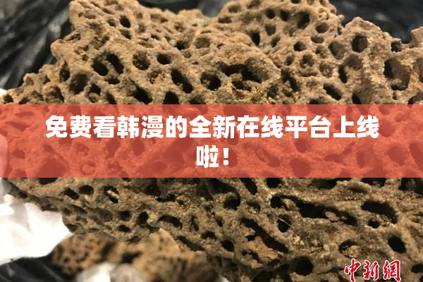 免费看韩漫的全新在线平台上线啦！