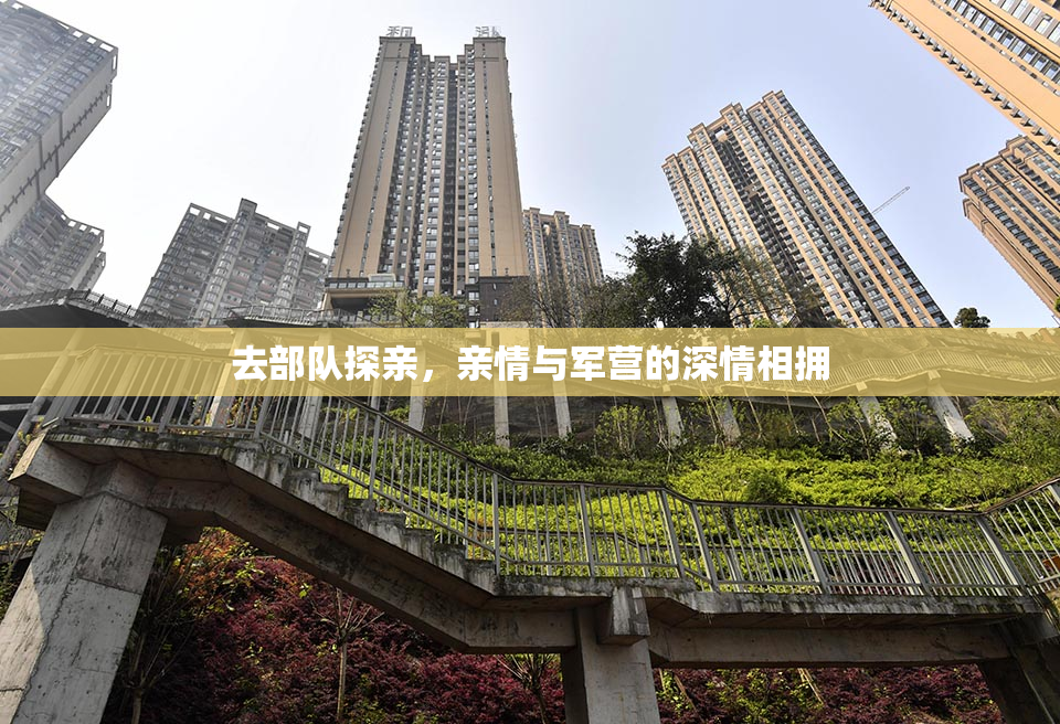 去部队探亲，亲情与军营的深情相拥