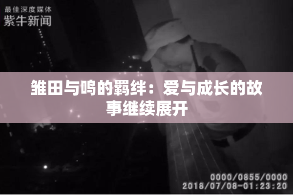 雏田与鸣的羁绊：爱与成长的故事继续展开