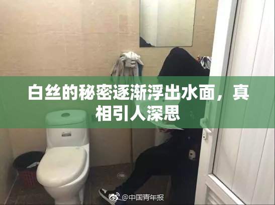 白丝的秘密逐渐浮出水面，真相引人深思