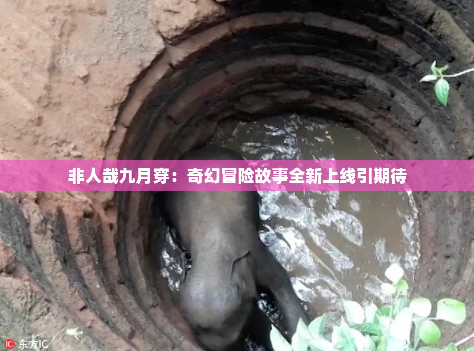 非人哉九月穿：奇幻冒险故事全新上线引期待