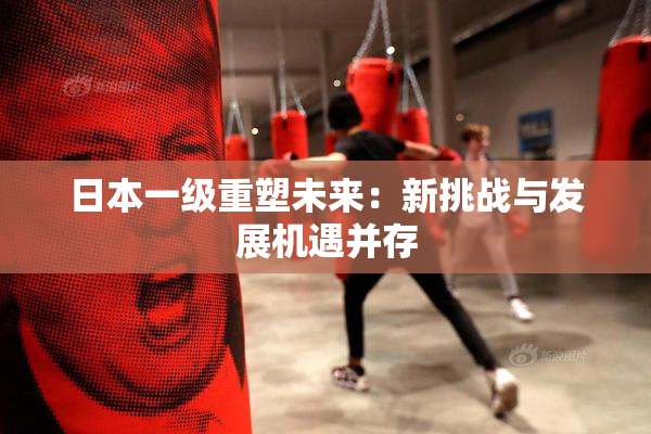 日本一级重塑未来：新挑战与发展机遇并存
