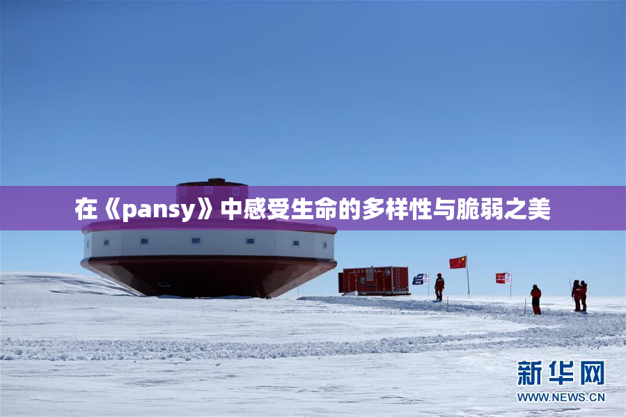 在《pansy》中感受生命的多样性与脆弱之美
