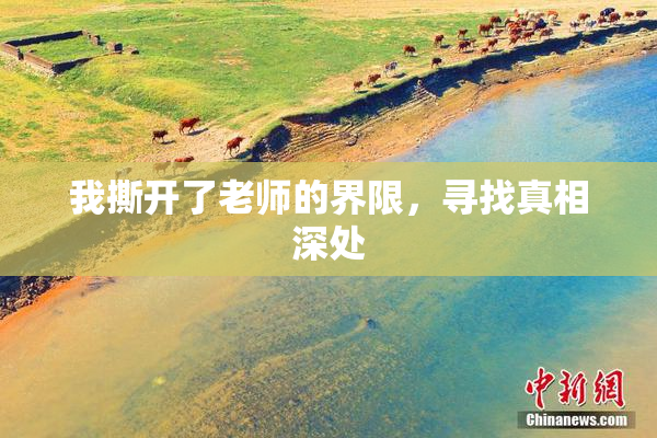 我撕开了老师的界限，寻找真相深处