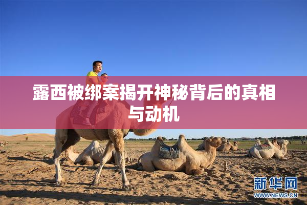 露西被绑案揭开神秘背后的真相与动机