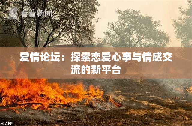 爱情论坛：探索恋爱心事与情感交流的新平台
