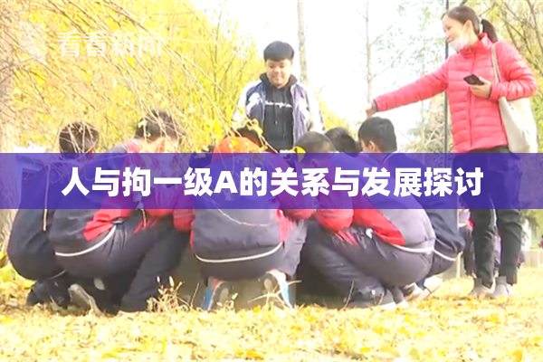 人与拘一级A的关系与发展探讨
