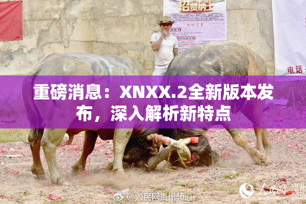重磅消息：XNXX.2全新版本发布，深入解析新特点