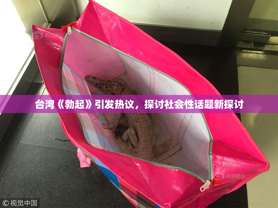 台湾《勃起》引发热议，探讨社会性话题新探讨
