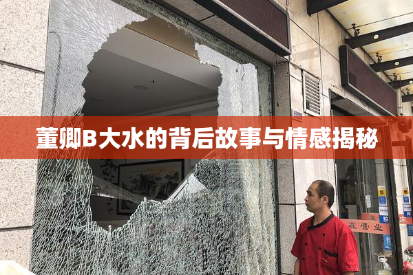 董卿B大水的背后故事与情感揭秘