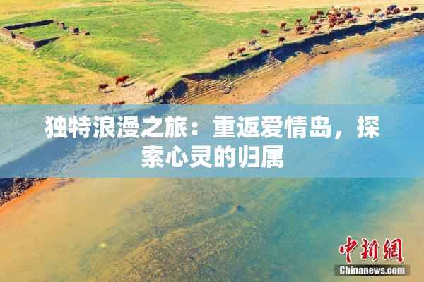 独特浪漫之旅：重返爱情岛，探索心灵的归属