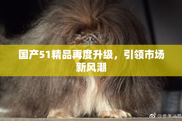 国产51精品再度升级，引领市场新风潮