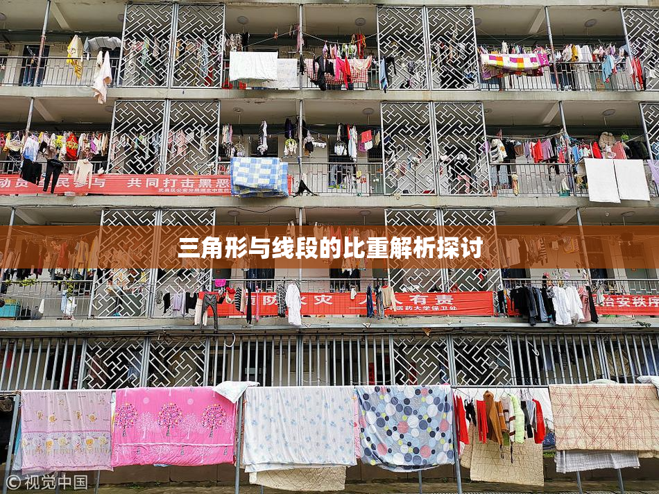 三角形与线段的比重解析探讨