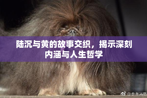 陆沉与黄的故事交织，揭示深刻内涵与人生哲学
