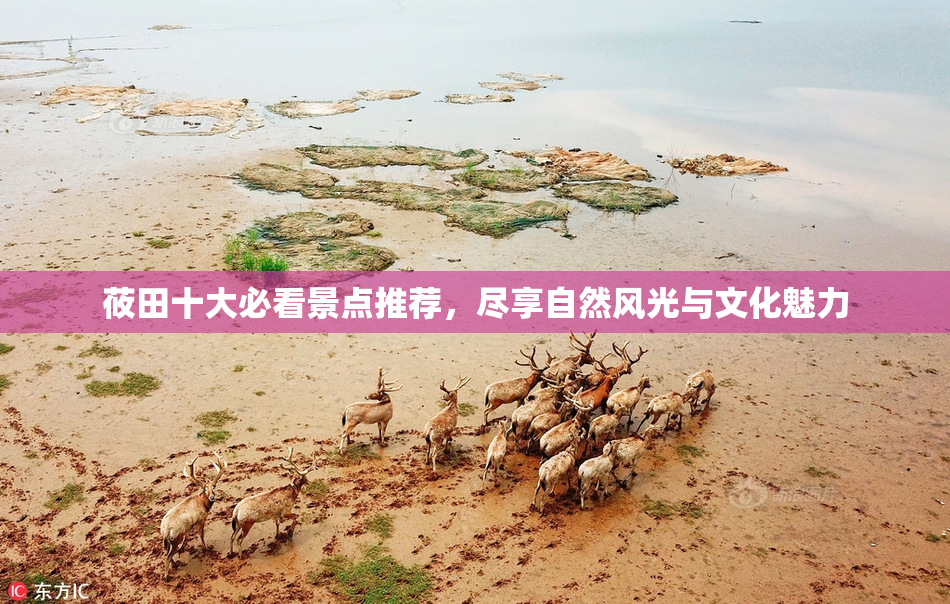 莜田十大必看景点推荐，尽享自然风光与文化魅力
