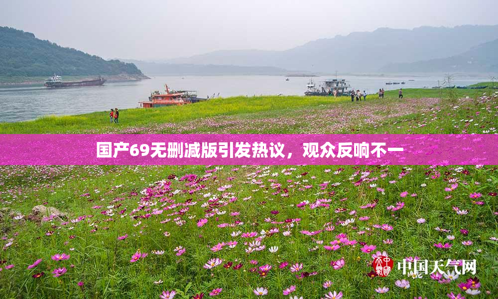 国产69无删减版引发热议，观众反响不一