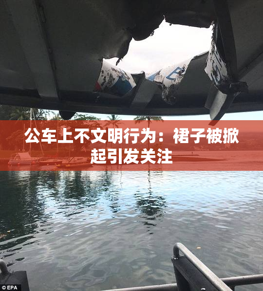 公车上不文明行为：裙子被掀起引发关注