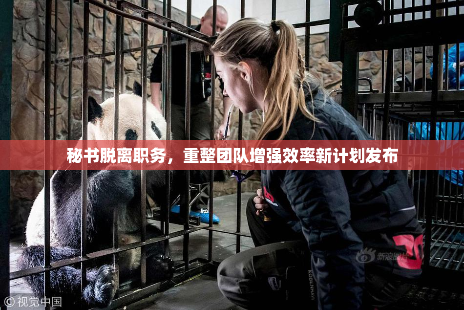 秘书脱离职务，重整团队增强效率新计划发布