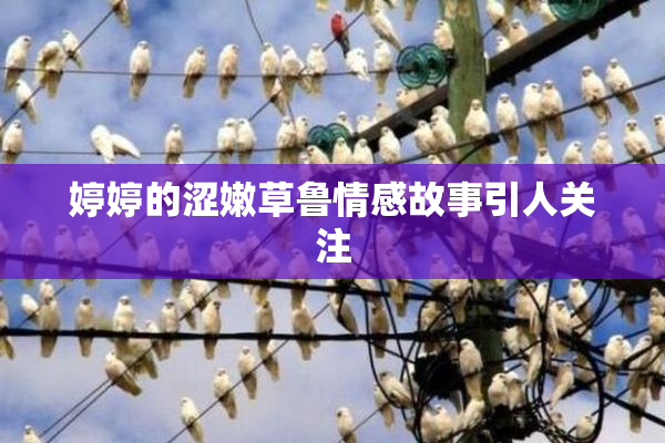 婷婷的涩嫩草鲁情感故事引人关注