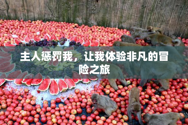 主人惩罚我，让我体验非凡的冒险之旅