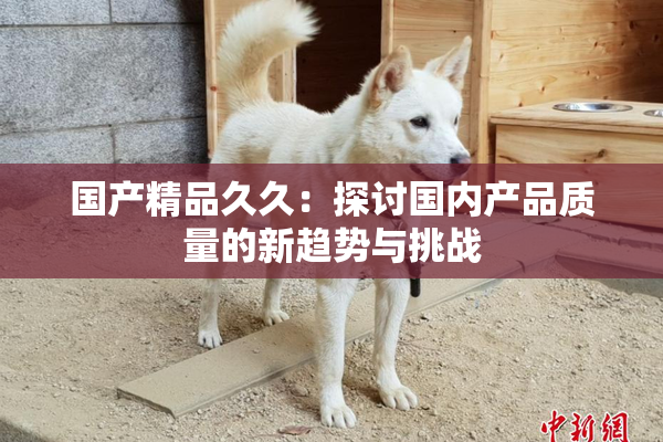 国产精品久久：探讨国内产品质量的新趋势与挑战