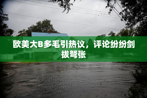 欧美大B多毛引热议，评论纷纷剑拔弩张