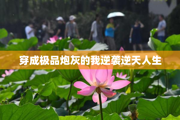 穿成极品炮灰的我逆袭逆天人生