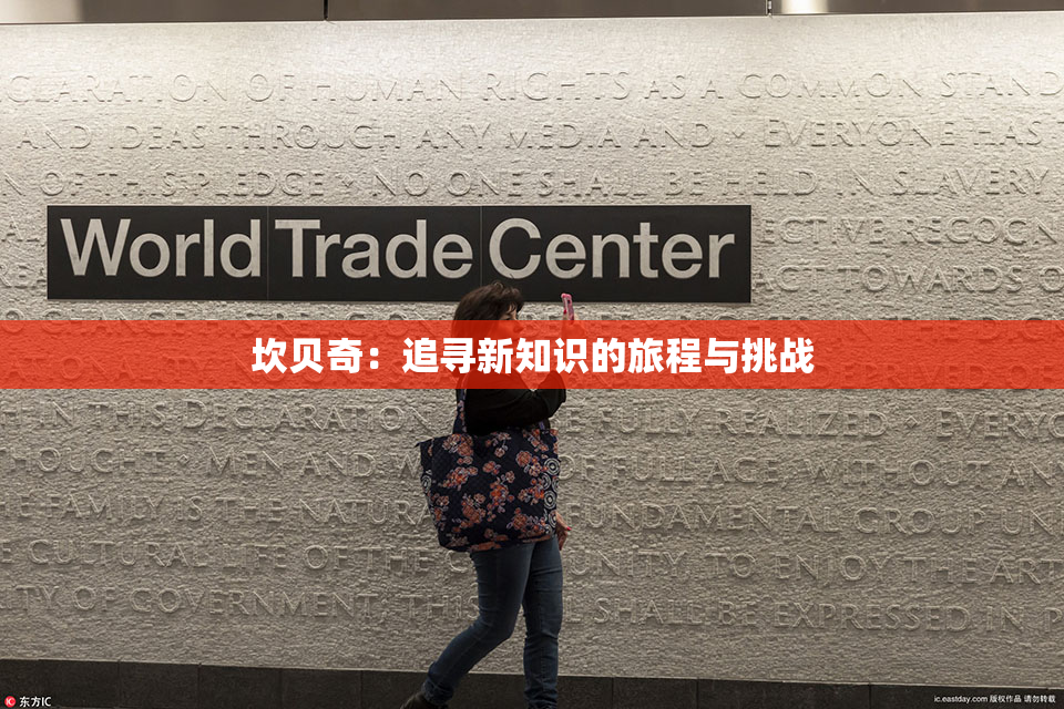 坎贝奇：追寻新知识的旅程与挑战